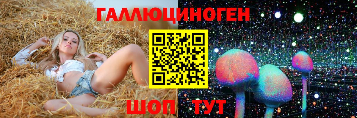 Псилоцибиновые грибы MAGIC MUSHROOMS  Вход с VPN  Гурьевск 